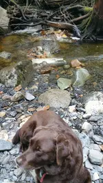 2017-06-01 10.51.00.webp