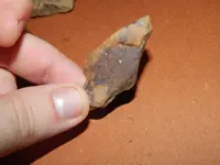 DSCN6711.webp