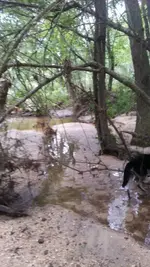 20170613_132550.webp