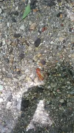 20170613_132530.webp