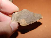 DSCN6714.webp