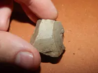 DSCN6715.webp