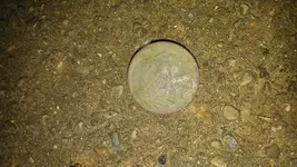20170624_191703.webp