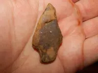 DSCN6719.webp