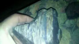 2017-06-15-10-57-47.webp