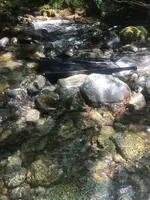 ImageUploadedByTreasureNet.com1501526303.471798.webp