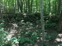Town farm cellar hole.webp Town farm cellar hole.webp