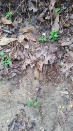 20170207_161322.webp