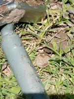 20170604_125038.webp