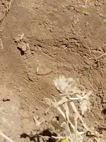 20170604_121928.webp