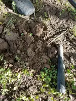 20170604_075449.webp