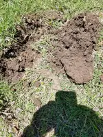 20170604_124251.webp