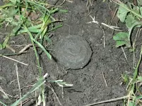 Oxforshire Button 001.webp