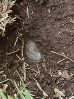 20170604_095159.webp