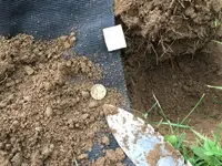 War Nickel - In The Hole.webp War Nickel - In The Hole.webp