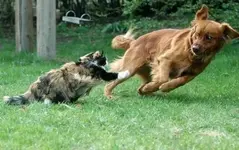 image.webp image.webp