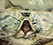 cabfbf65c239c68a8f7f6cd8cf4c0bac--hipster-cat-hipster-style.webp