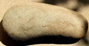 DSCN6398.webp