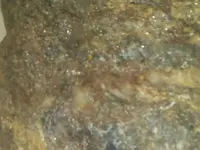 20170710_195209.webp