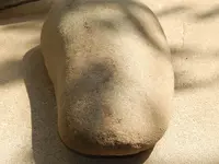 DSCN6413.webp