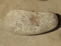 DSCN6414.webp