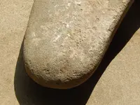 DSCN6415.webp