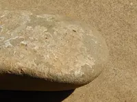 DSCN6418.webp