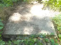 DSCN6351.webp