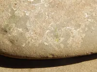DSCN6420.webp