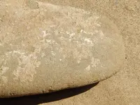 DSCN6421.webp