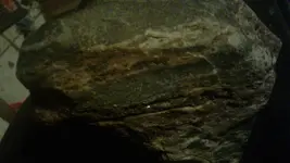 20170126_175808.webp