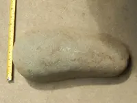 DSCN6423.webp