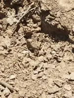 20170704_115829.webp 20170704_115829.webp