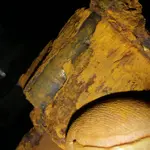 0713170330a[1].webp
