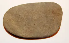DSCN6425.webp