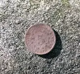 shield-nickel.webp