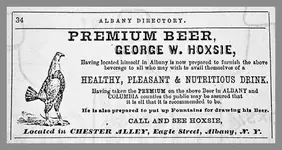 Hoxie.webp