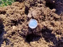 20170624_194959.webp