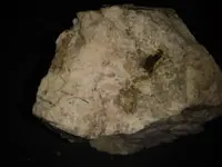 20170712_233542.webp