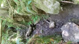 20170702_123956.webp