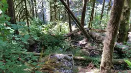 20170702_125123.webp