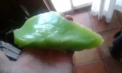 20170616_111338.webp
