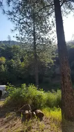 20170527_090859.webp 20170527_090859.webp
