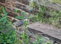K1600_DSCN2659.webp