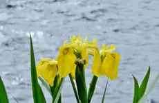 K1600_DSCN2653.webp