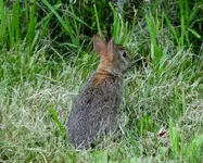 K1600_DSCN2665.webp