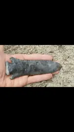 black point2.webp