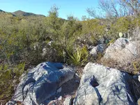 Bedrock Mortars Colossal Cave Mountain Park Arizona 2016.webp