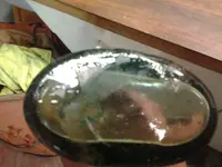 20170625_140345.webp