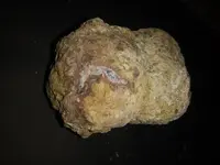 20170712_234733.webp